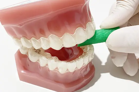 アライナー・チューイー