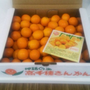 ♡ひなまつり&きんかん♡