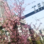 ☆マラソンの応援☆