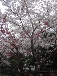 ☆4月スタート★