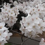 ☆４月スタート★