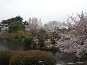 ☆4月スタート★