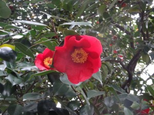 ☆4月スタート★