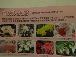 ☆4月スタート★