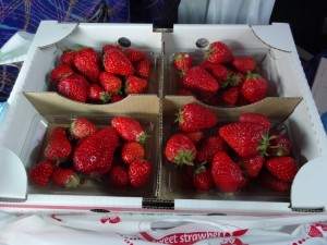 ♡靴下シリーズ4&イチゴ♡