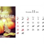 11月の休診日のご案内