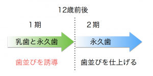 小学生から矯正治療を行う場合、２回治療があると言われました。どうしてですか？