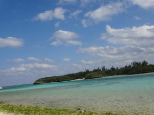 ６月にやること！！