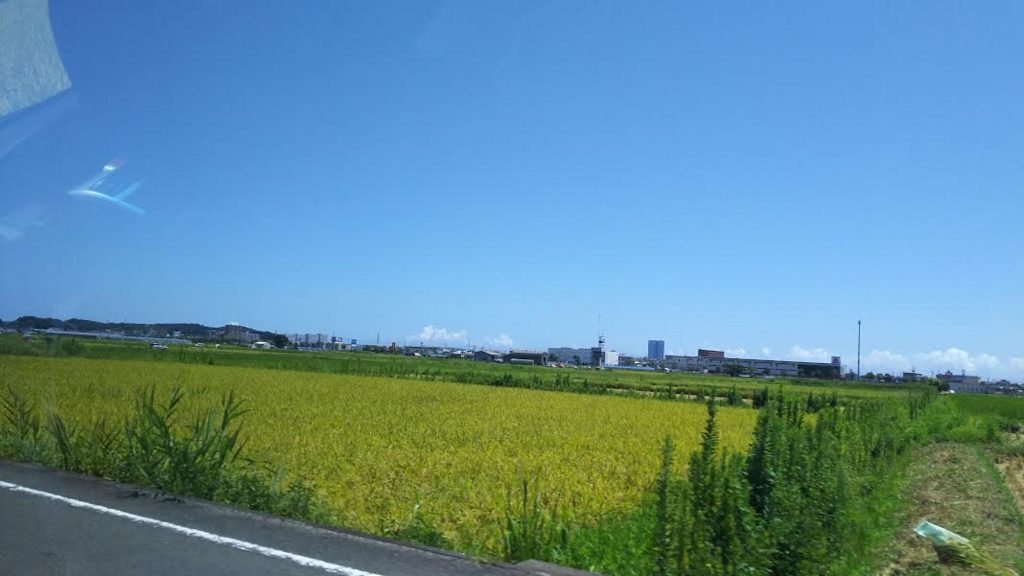 夏休み後半〜宿題ファイト♪〜