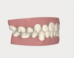 スクリーンショット 2016-08-17 12.50.30