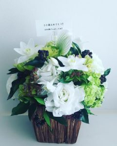 WBC開催中ー!!! in東京ドーム