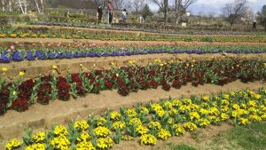 バスツアー in 山梨