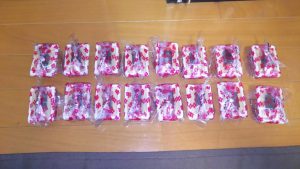 バスツアー in 山梨