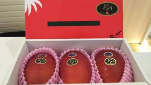 矯正治療途中のいろいろな行事に対しての治療サポート