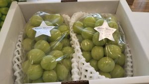 秋のお彼岸&差し入れ