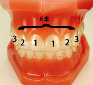 マウスピースの付け方外し方