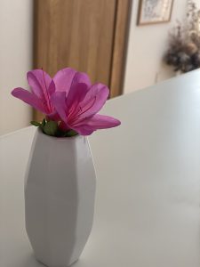 ♡明日は母の日♡