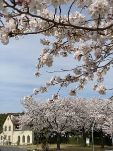 4月 新年度がスタート！！˚✧₊⁎