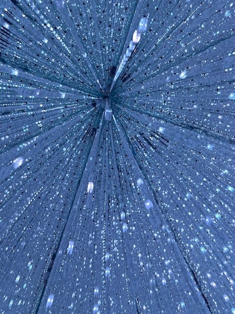 チームラボプラネッツ🌏