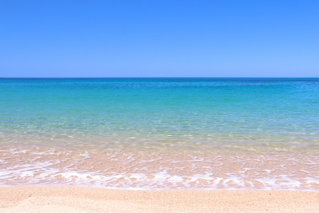 夏に買ったもの