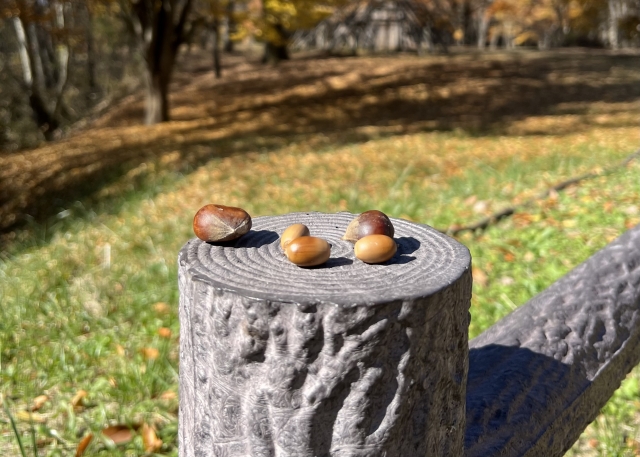 自分の時間を確保する