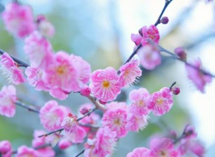 マウスピース矯正中の痛みについて