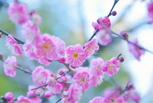 マウスピース矯正中の痛みについて