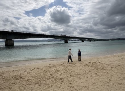 沖縄の自然とグルメを満喫