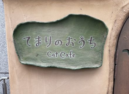 猫カフェ